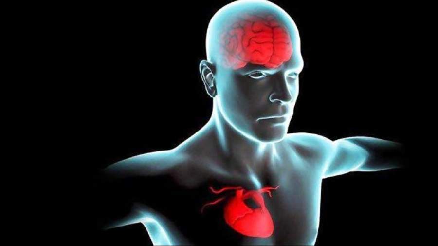 بیماری قلبی در عملکرد مغز اختلال ایجاد می کند