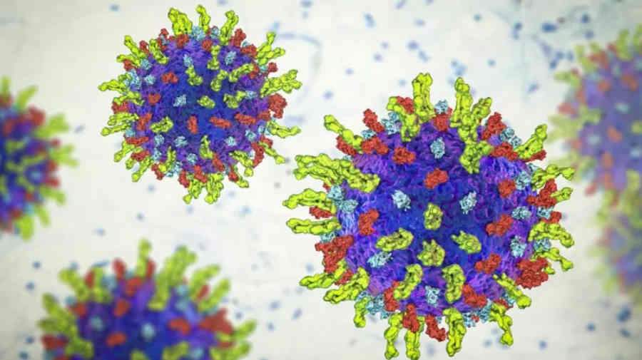 نابودی سلولهای سرطان با تزریق ویروس اصلاح شده  تبخال