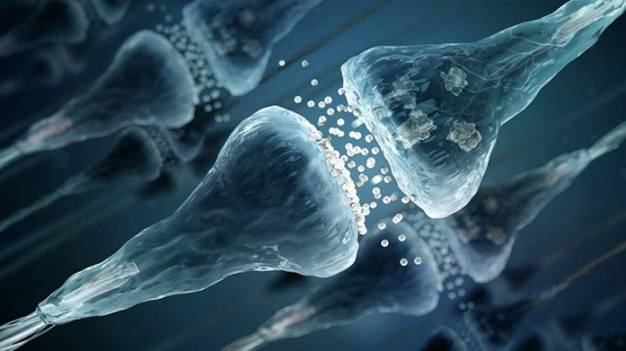 مغز انسان میلیون‌ها سیناپس خاموش دارد!