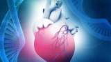 ژن ضد پیری نارسایی قلبی و سن بیولوژیکی قلب را 10 سال به عقب می اندازد