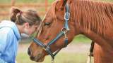 اسب درمانی و اتیسم